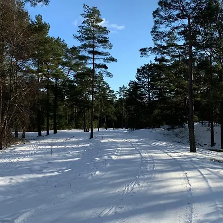 Pogodny Kopalino Z Balia Jackowo
