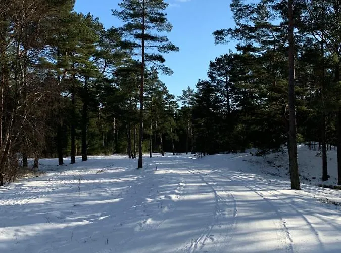 Pogodny Kopalino Z Balia Jackowo