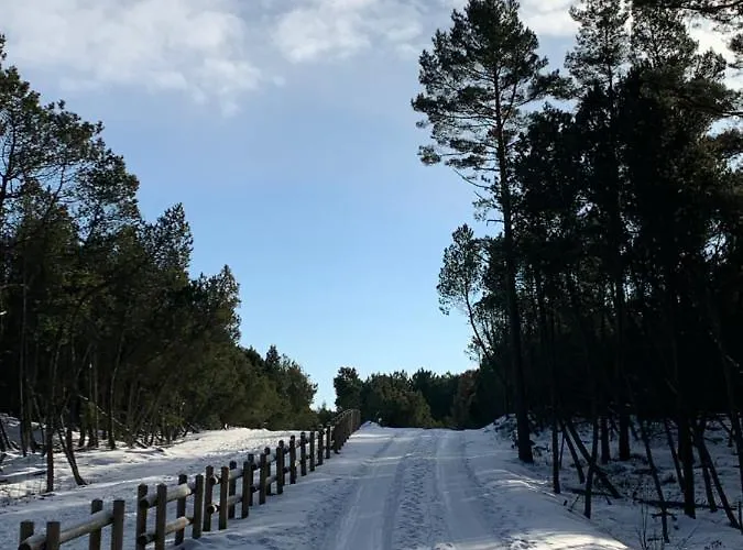 Pogodny Kopalino Z Balia